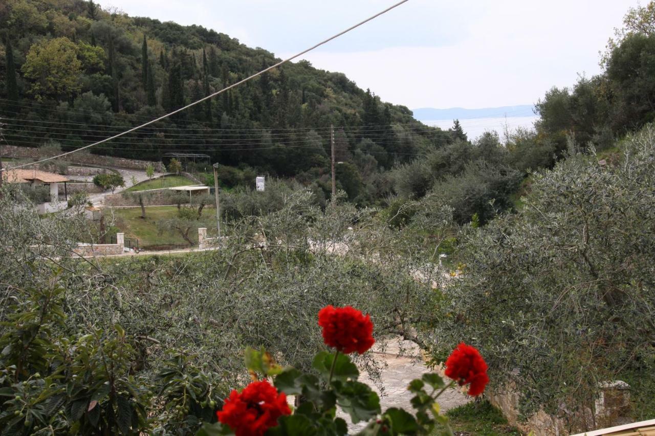 Katerina Rooms Sivota  Bagian luar foto