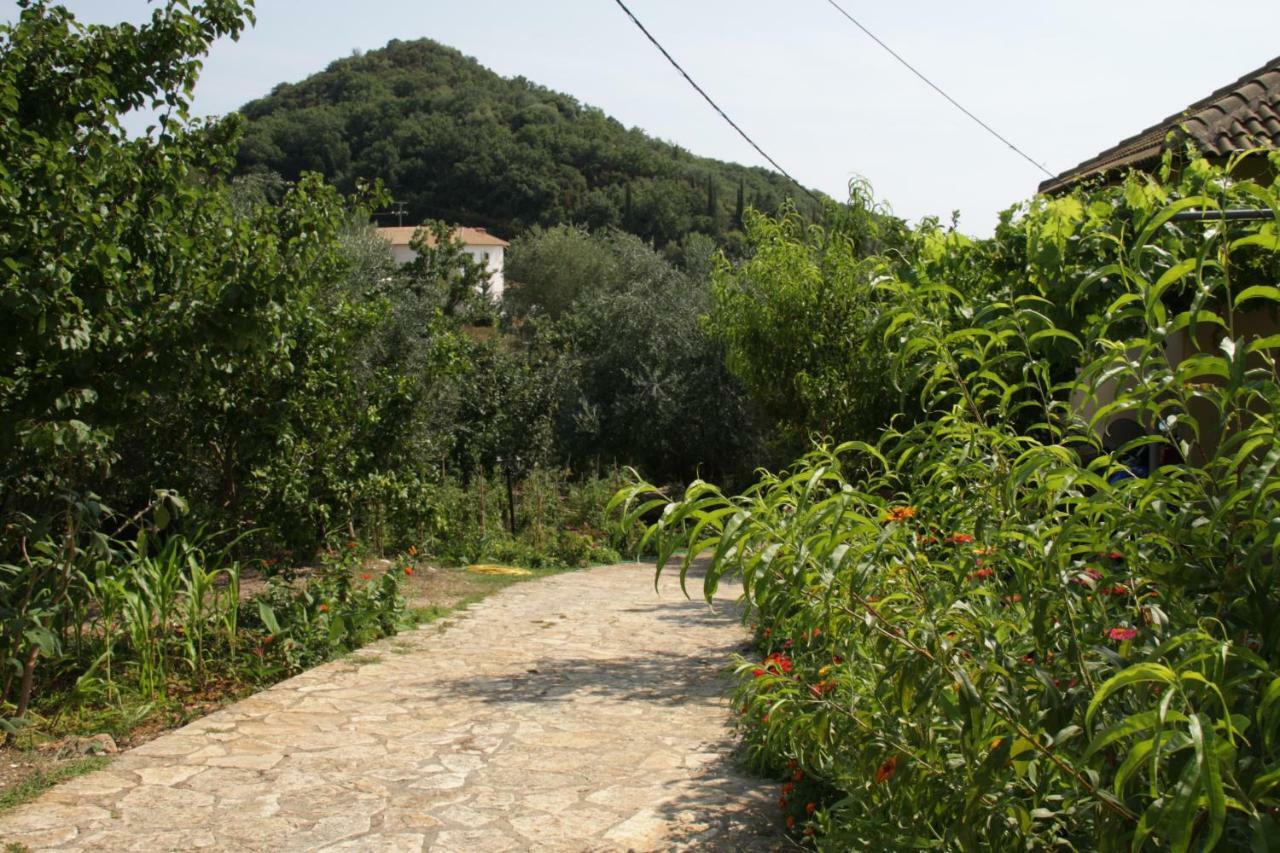 Katerina Rooms Sivota  Bagian luar foto