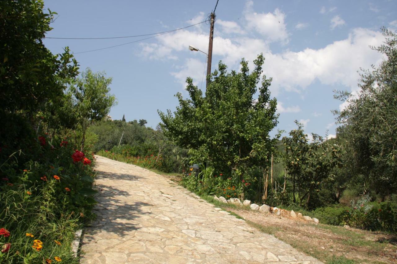 Katerina Rooms Sivota  Bagian luar foto